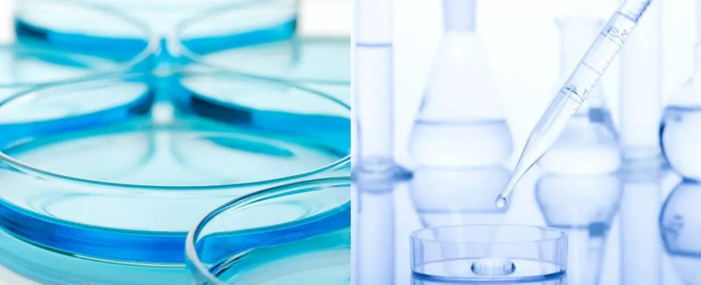 application of Laboratory glass petri dish 100mm application of Laboratory glass petri dish 100mm