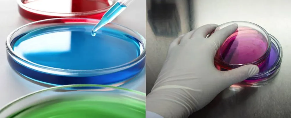 Laboratory glass petri dish 100mm applications Laboratory glass petri dish 100mm applications