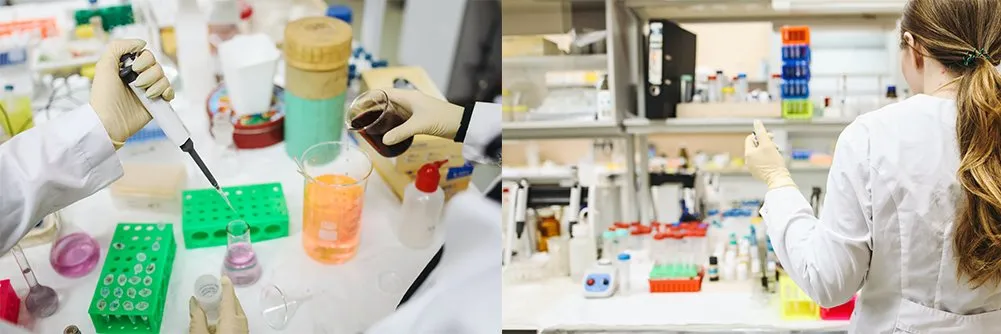 pexels-polina-tankilevitch-3735782 application