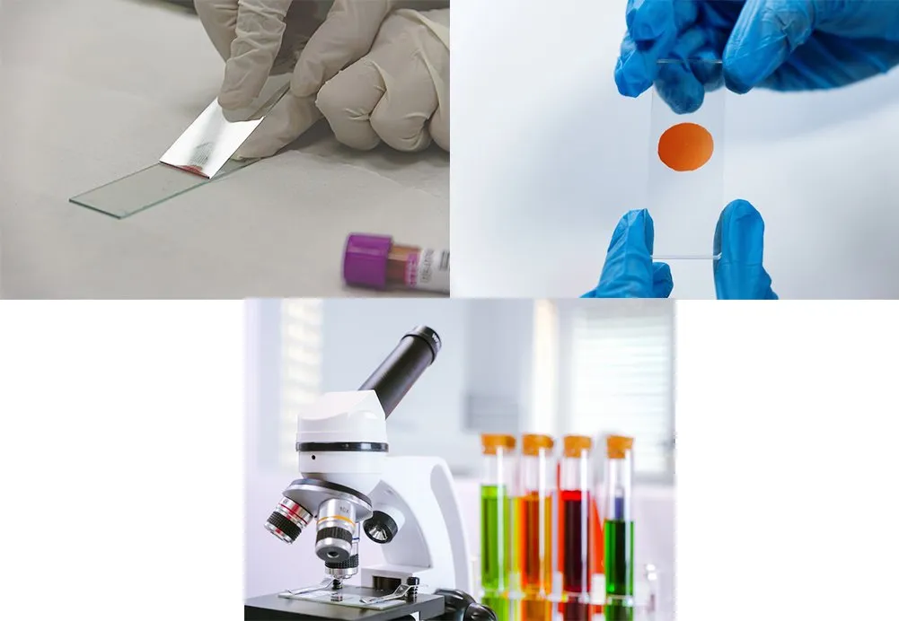 application of microscope glass slides 7109