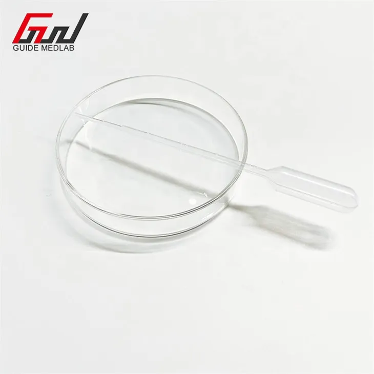 3 laboratory glass petri dish